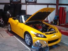 Dyno 004.jpg