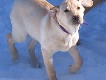 2maggie01-31.jpg