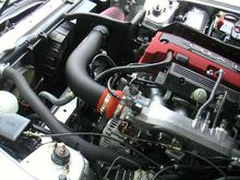 KN6.jpg