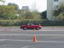 IMG_3976.jpg