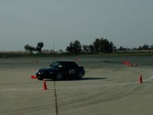 American Auto-X