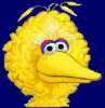 bigbird.jpg