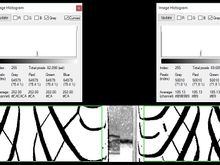 treadcompare5a