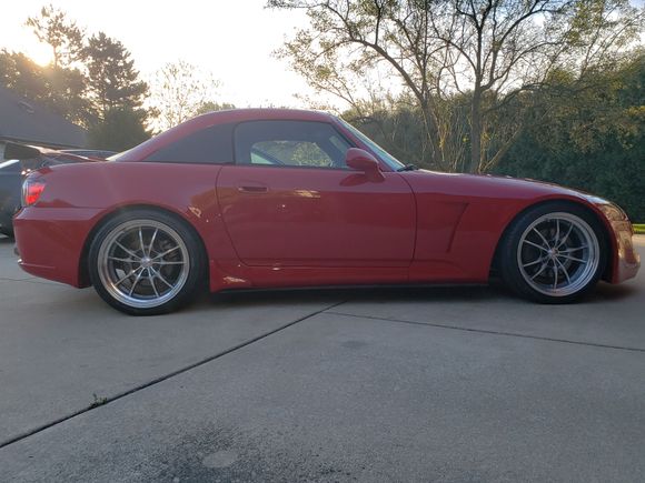Wife's Build