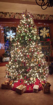 Camera caught the middle section where the old incandescents went out with no further hope of repair (replaced with a string of LEDs). When the tree is taken down I'll cut off all of the old lights and use LED strings next year. 