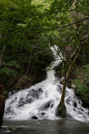 High Falls