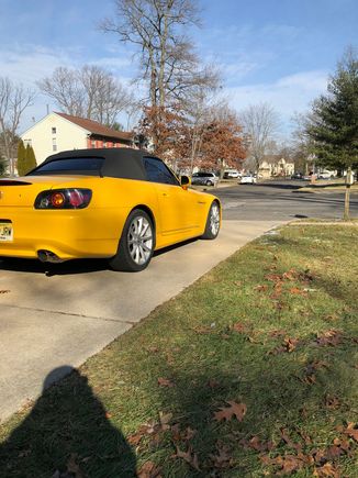 Took some time to wash her after the tint cured.