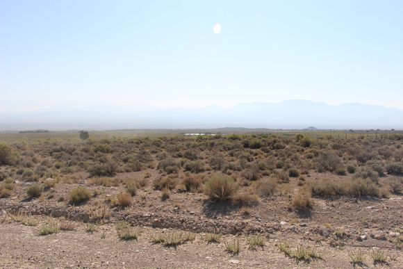 we would see these oasis throughout our trip