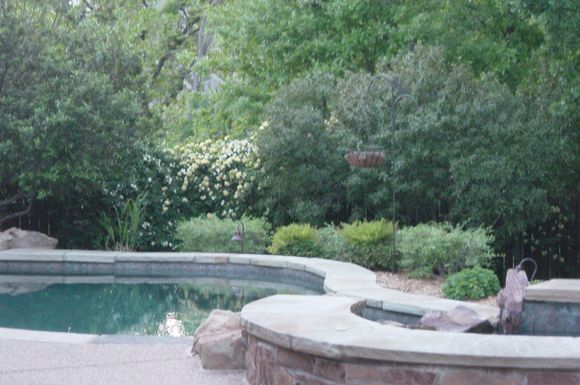 Backyard 011.jpg