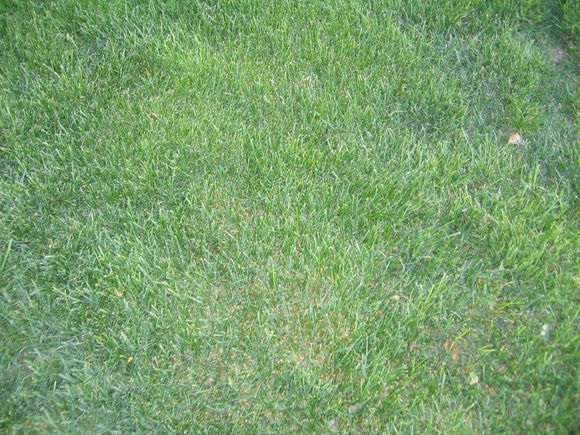 101_0188.JPG