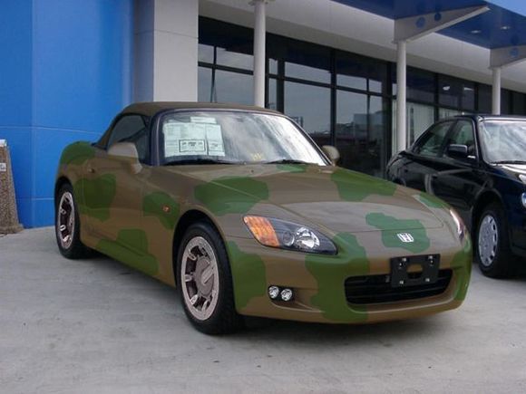 cammo.jpg