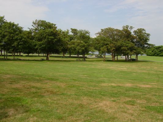 pic8
