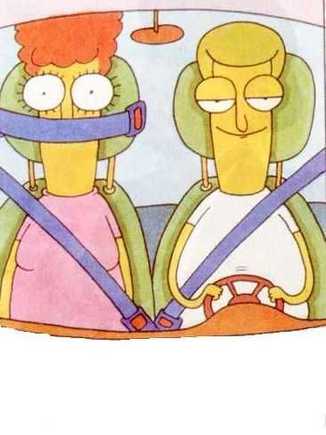 seatbelt