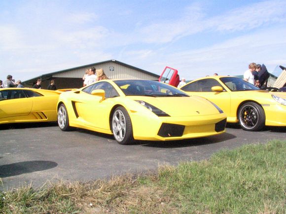 Lamborghini Gallardo in the coolest sea of yellow I&#39;ve e