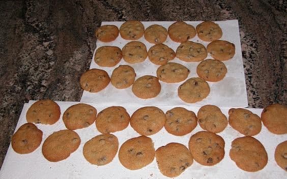 Cookies 11-19-04