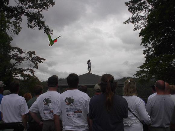 Soaring Eagle.JPG