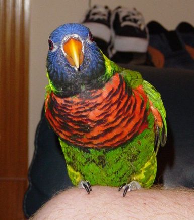 Sammy1.jpg