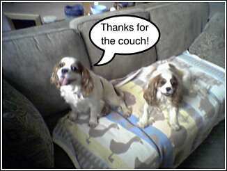 Couch