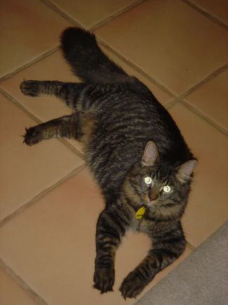 Hobbes2