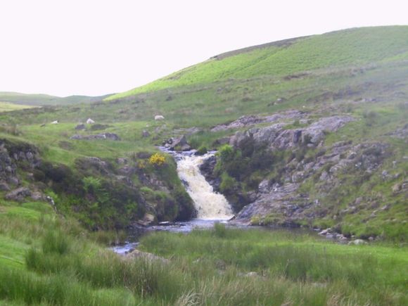 Par0011.JPG