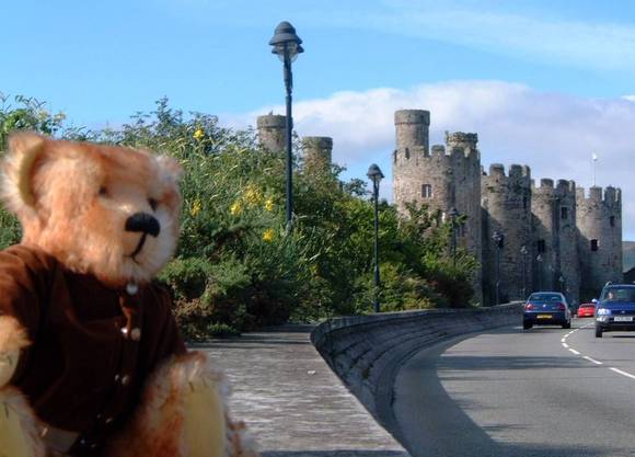 Stooky at Conwy Castle 1.jpg