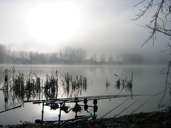 IMG_0020.jpg
