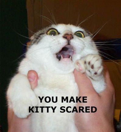 youmakekittiescared.jpg