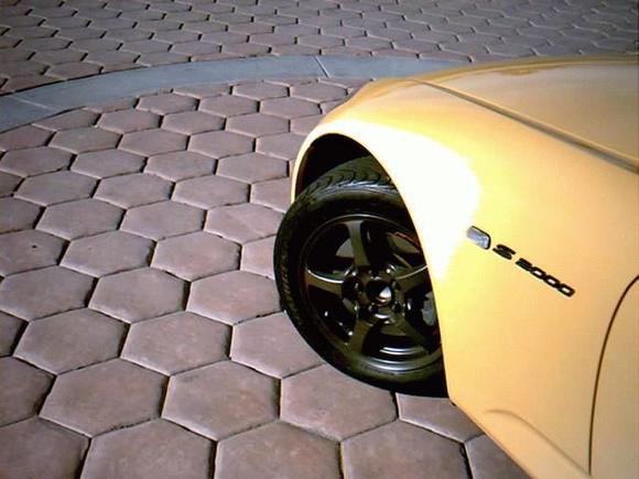 t9.jpg