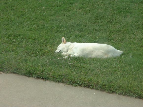 Picture 040.jpg