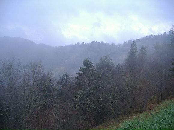 DSCF0713.JPG