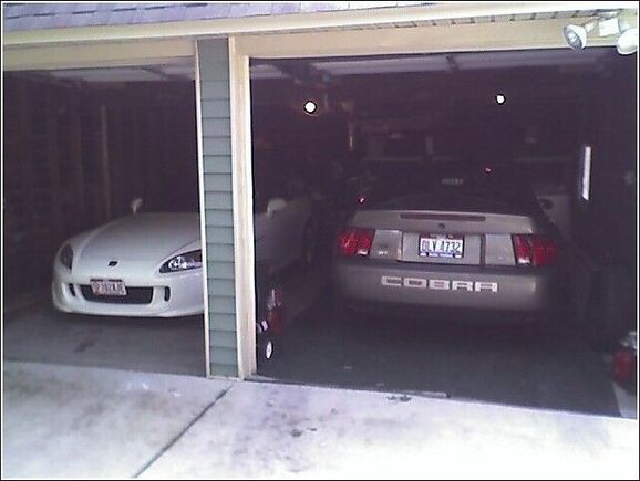 Cobra.jpg