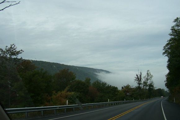 100_0288.jpg