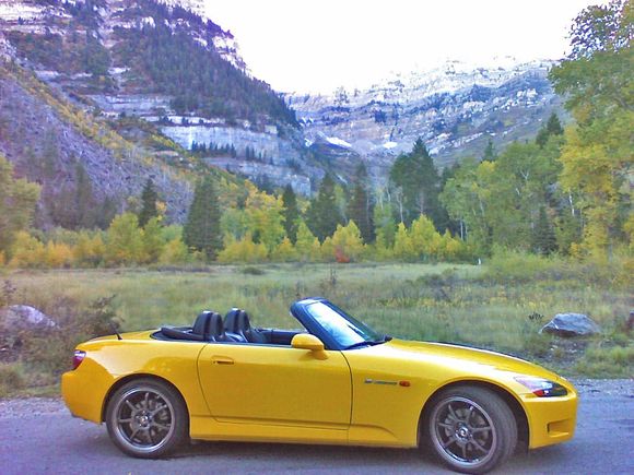 MY01 at Sundance
