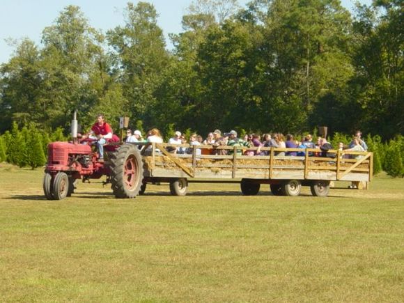 Pumpkin Run