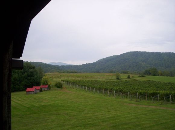 Sharp Rock Vineyard