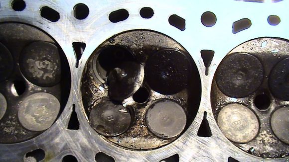 DSC00377-1.JPG