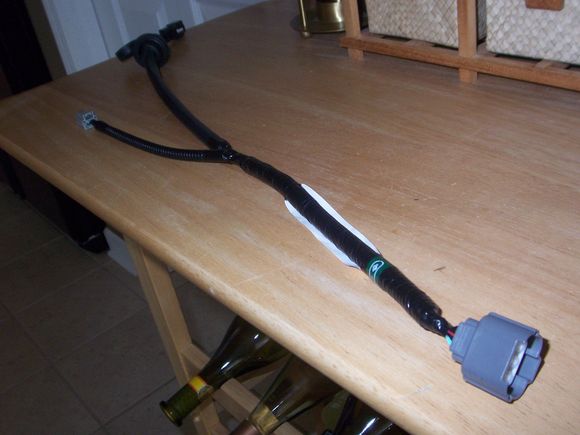 100_0779.JPG