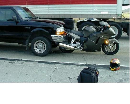 birdintruck.jpg
