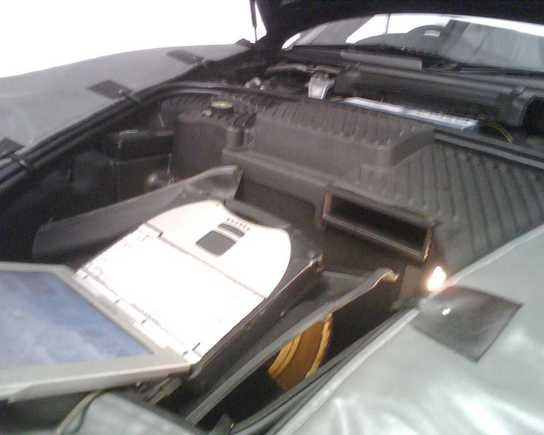 IMG00035.jpg