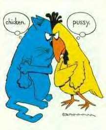 the chicken and the pussy.jpg