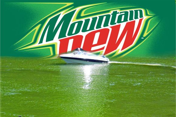 mtdewlake.jpg