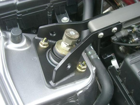 CIMG2095 (Medium).JPG