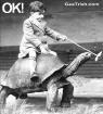 tortoise.jpg