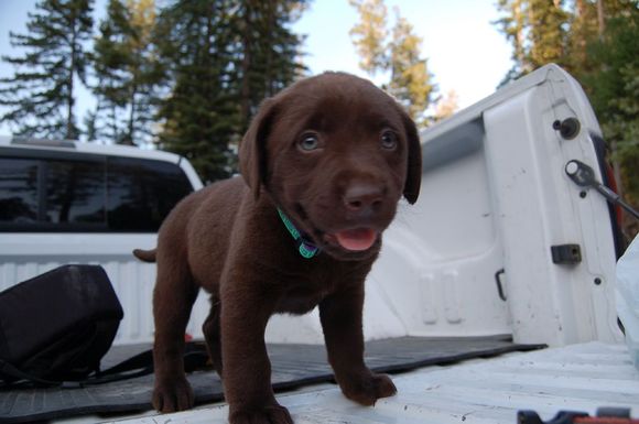 Hunter 2007-06-13_126.jpg