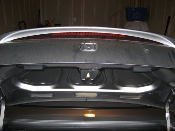 Trunk2.jpg