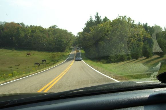 100_0847.JPG