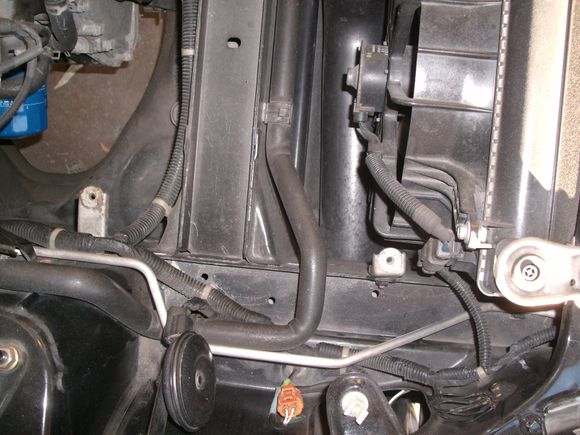 GEDC1674.JPG