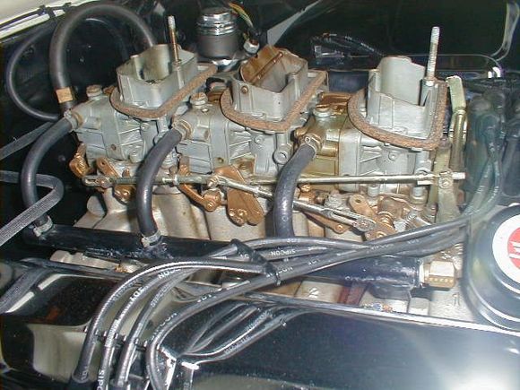 Gal-7-910.JPG