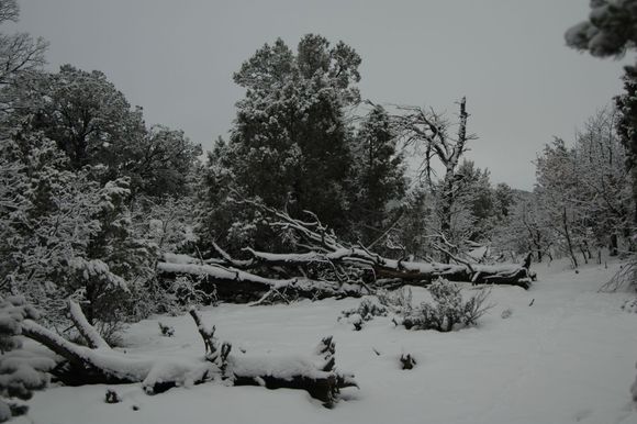 Christmas and Durango Dec 06 083.jpg