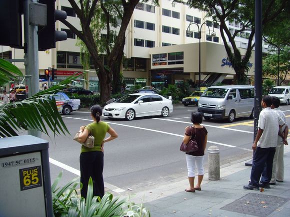 SNV30029.JPG